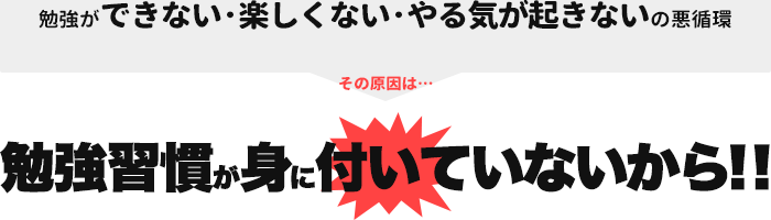 勉強習慣が身に付いていないから！！